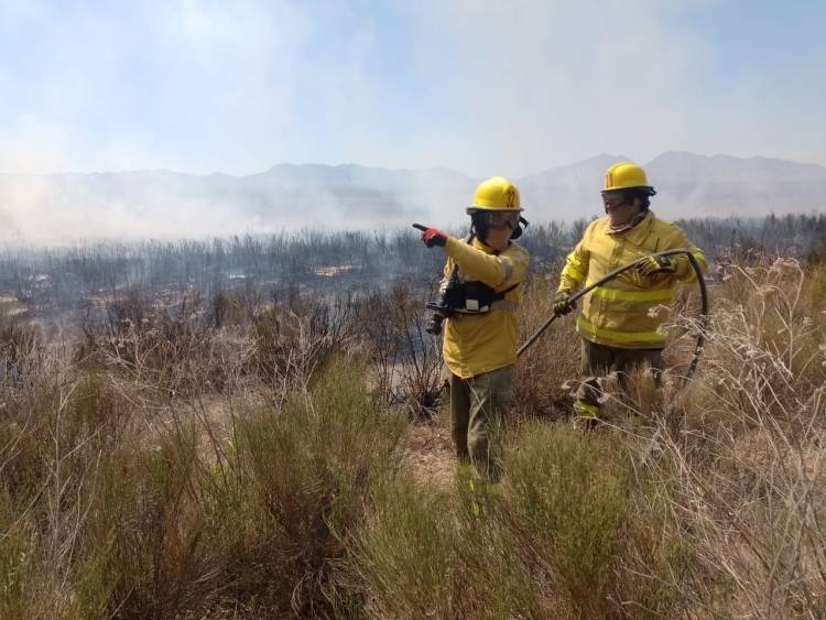 Bomberos de San Juan sofocaron más de 30 incendios tras el viento Zonda