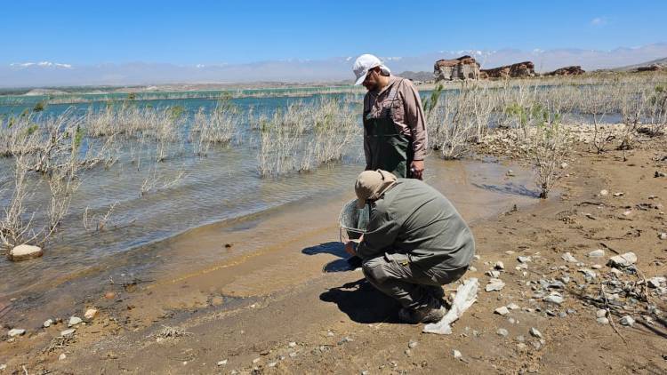 Ambiente remitió a la UFI Jáchal los resultados de las muestras tomadas en el Dique Cuesta del Viento
