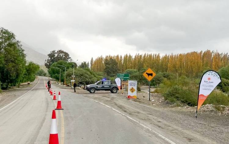 Ambiente solicita bajar la velocidad en rutas para proteger la fauna silvestre