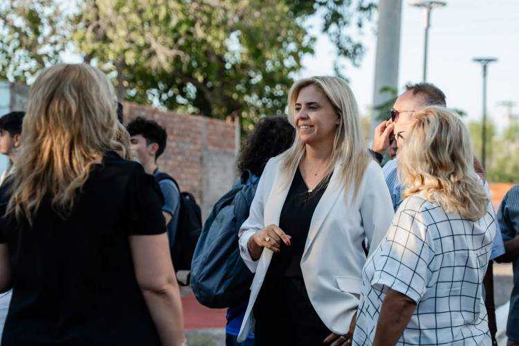 Pirotecnia sonora cero y juramento de funcionarios,  proyectos de ley presentados por la diputada  nacional Nancy Picón