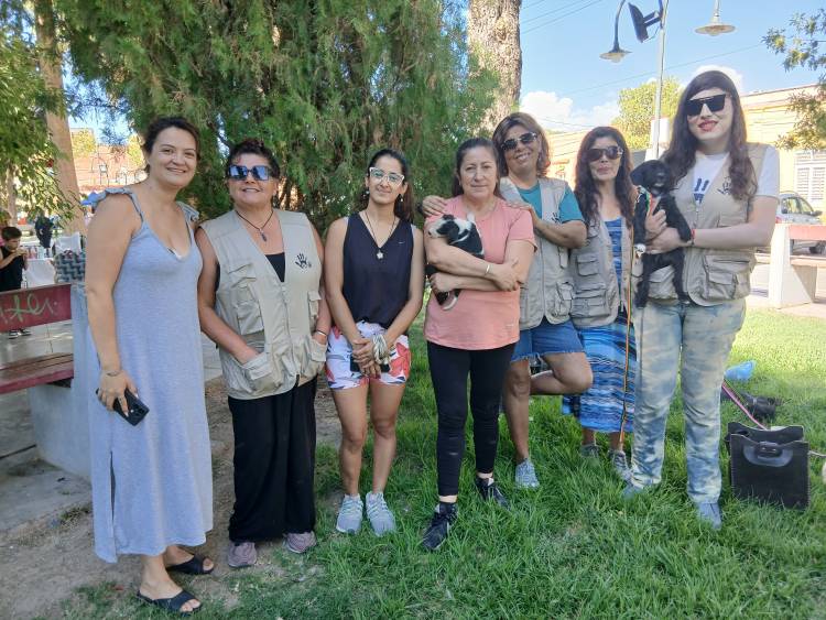 Hogar Animal Jáchal: Personería Jurídica en vigencia y a un paso de constituir su primera comisión directiva