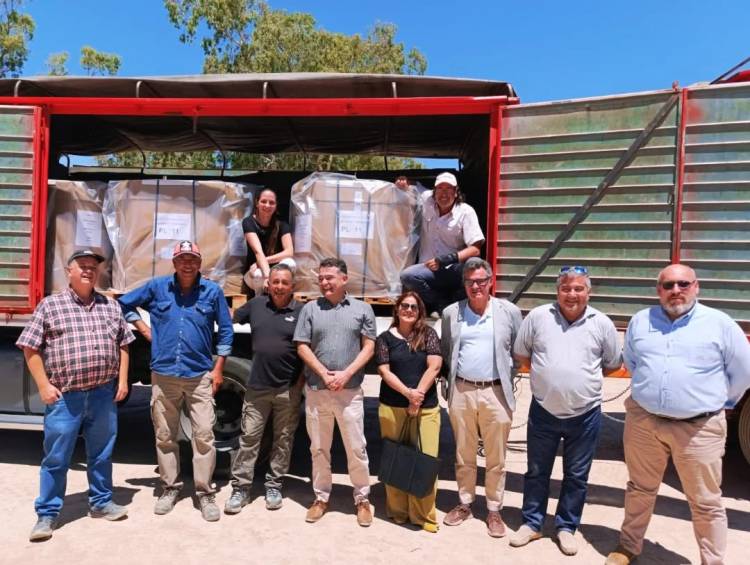 Jáchal logró la primera exportación de semillas de cebolla a Países Bajos