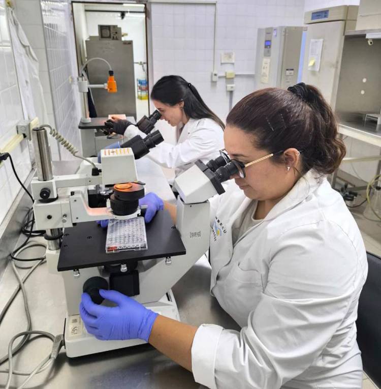 Impulsa Ciencia: el programa que potencia la investigación y la divulgación científica