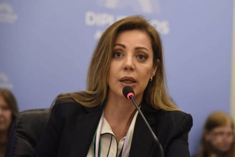 Denunciaron penalmente a la senadora Royón por presuntos conflictos de intereses vinculados a la minería