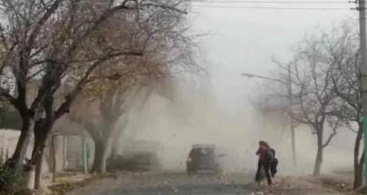 Alerta meteorológica: Se prevé ocurrencia de Viento Zonda