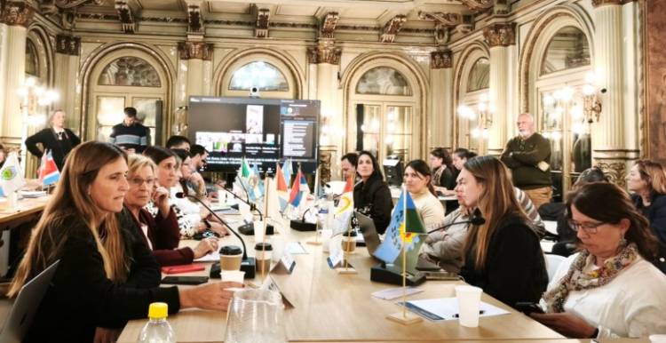 En COFEDIS se avanzó en los criterios para las pensiones por discapacidad
