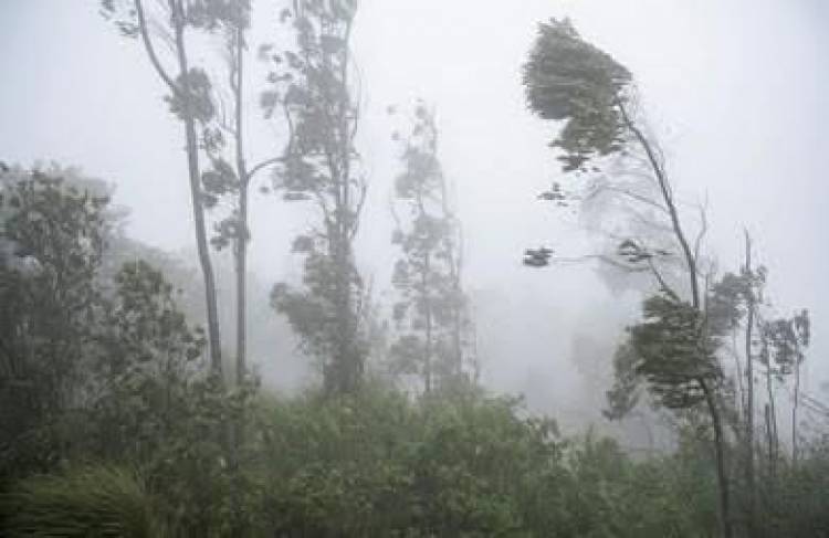 Protección Civil: temporal con nevadas, viento Zonda y descenso de temperaturas durante varios días