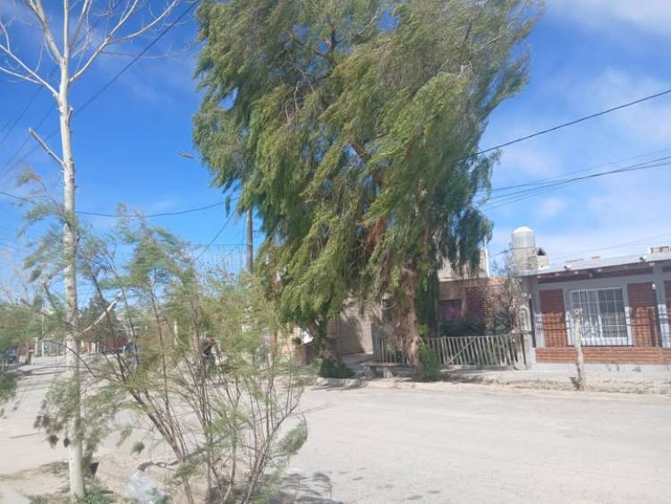Alerta meteorológica: Se advierte la ocurrencia de fuertes vientos en la provincia, para la madrugada de este jueves 3 de septiembre