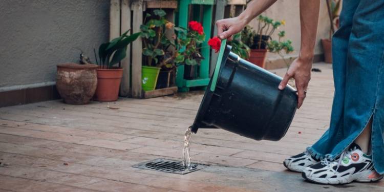 Dengue: recomiendan sostener las medidas de prevención y eliminar criaderos