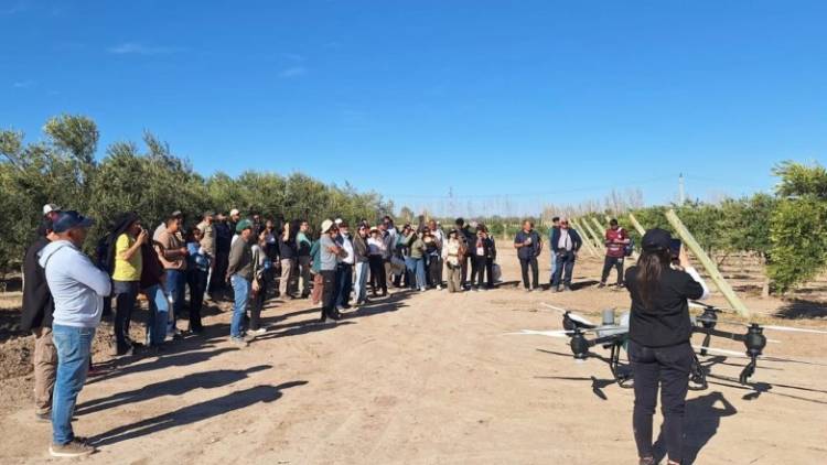 Cien empresas de distintas provincias se sumaron a la Jornada a Campo de ArgOliva
